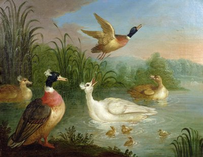 Canards sur un paysage fluvial - Marmaduke Craddock